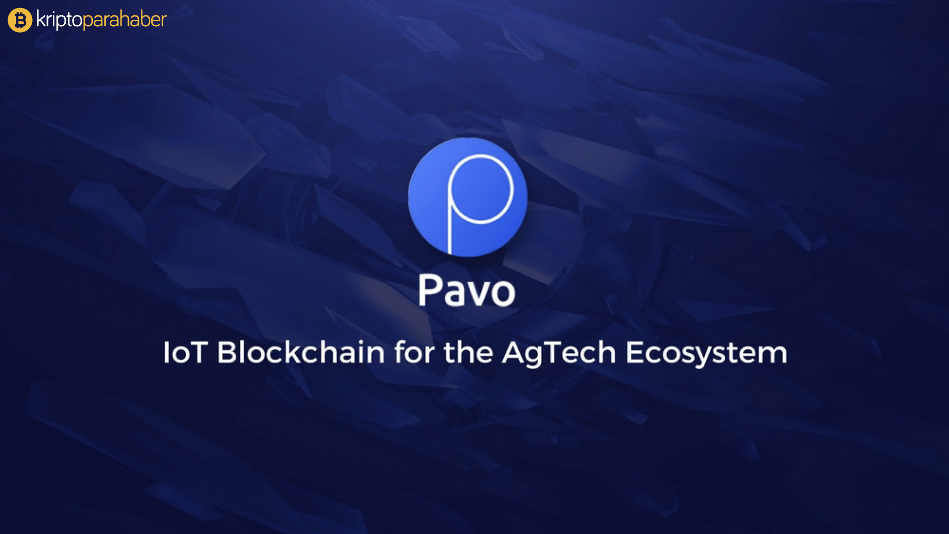 Pavo, Malezyalı palm yağı üreticilerini de sevindirecek.