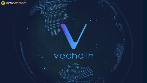 Bu ankete göre VeChain (VET), değerinin oldukça altında fiyatlanıyor