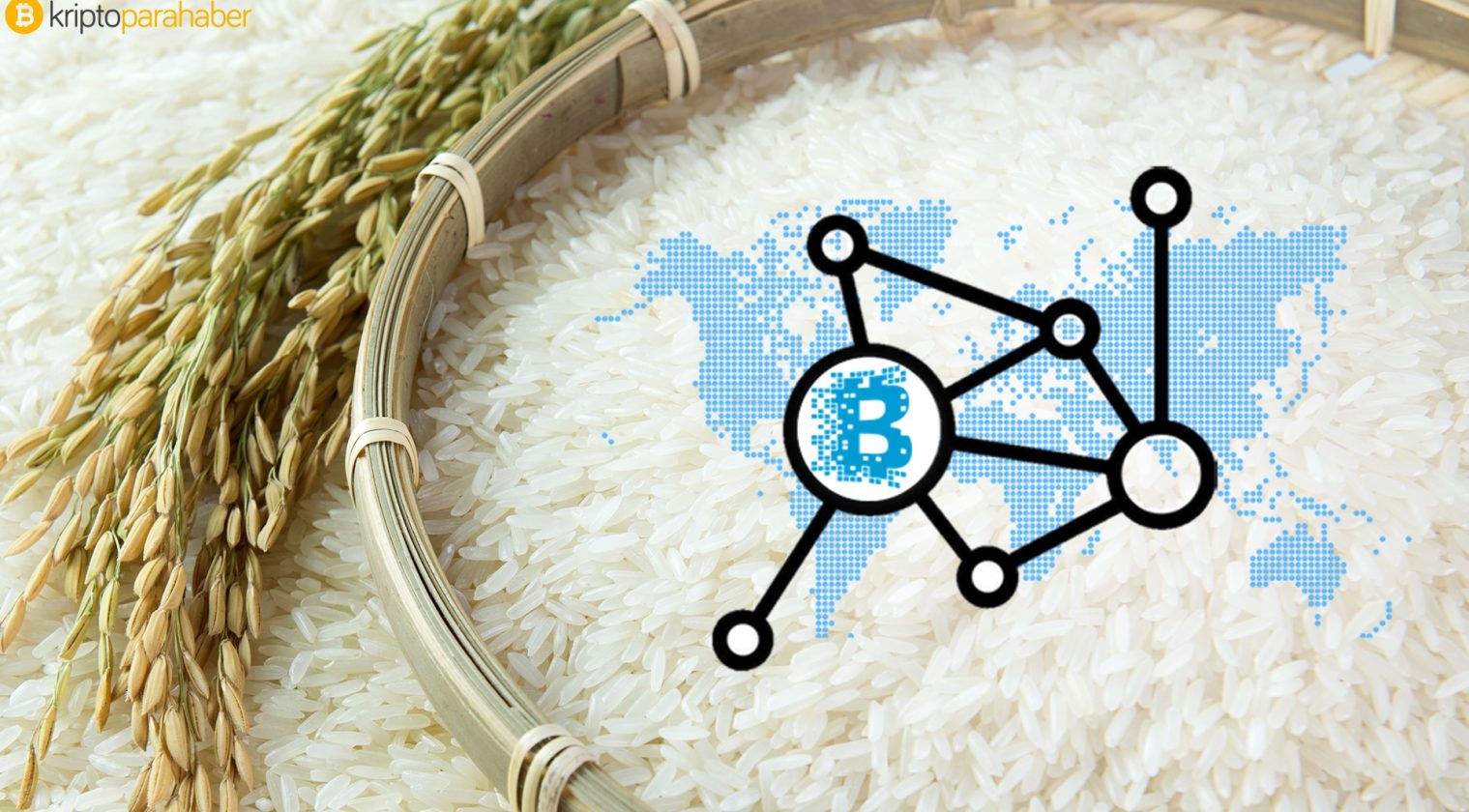 Ant Financial yeni proje açıkladı, Blockchain ile gıda sahtekarlıklarına son!