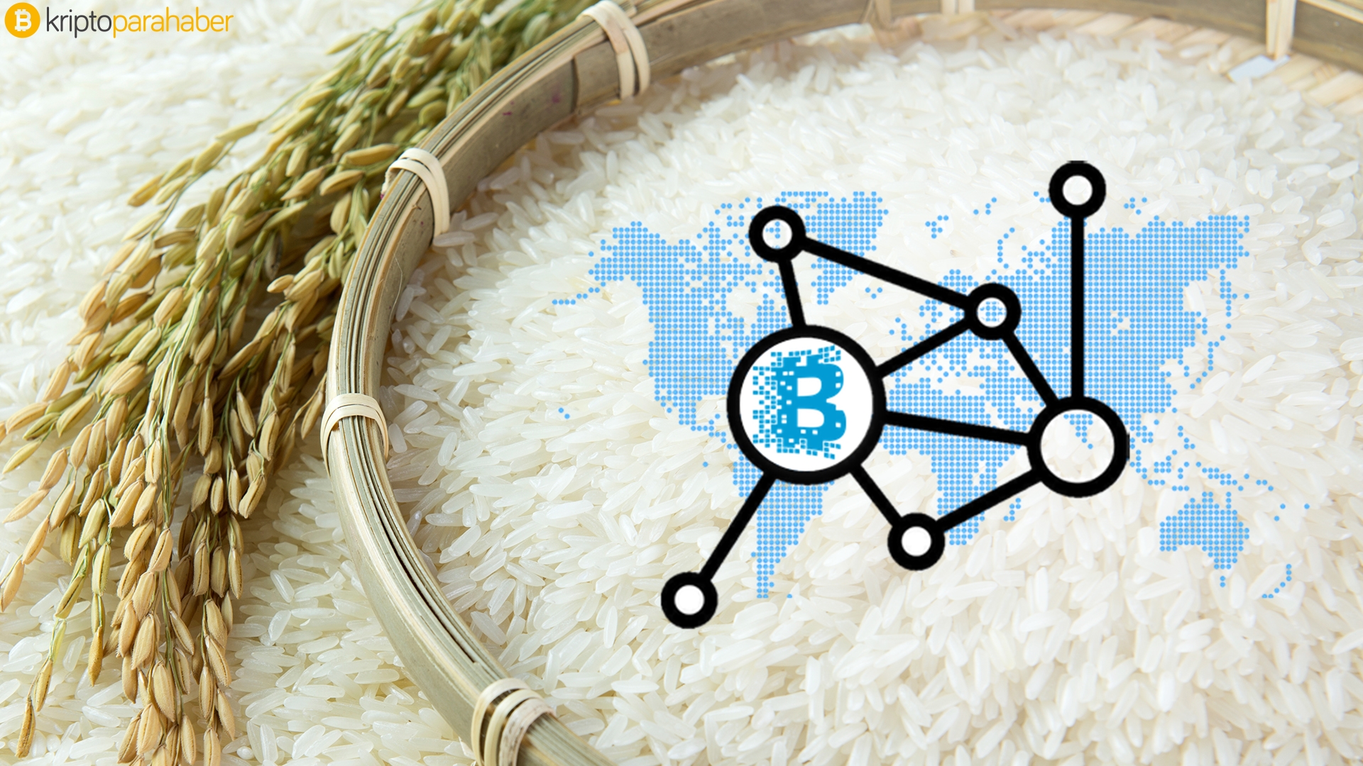 Ant Financial yeni proje açıkladı, Blockchain ile gıda sahtekarlıklarına son!