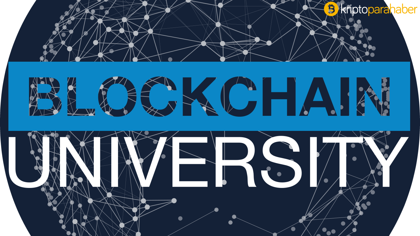 Blockchain üniversite programı