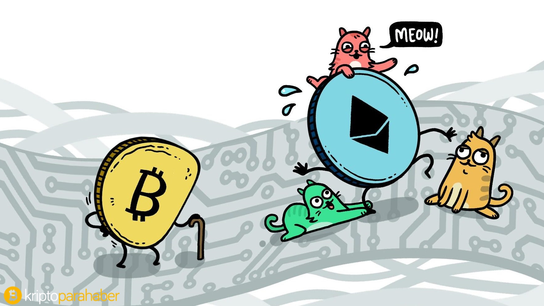 Kripto para koleksiyonu