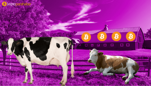 Rusya’nın en büyük madencilik şirketi açılıyor