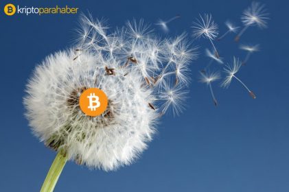 Karahindiba protokolü Bitcoin’e gerçek anonimlik kazandıracak