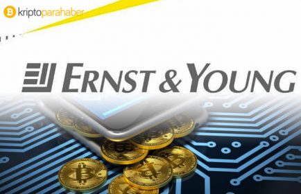 Ernst & Young Silikon Vadisi tabanlı CAAT startup’ını satın aldı
