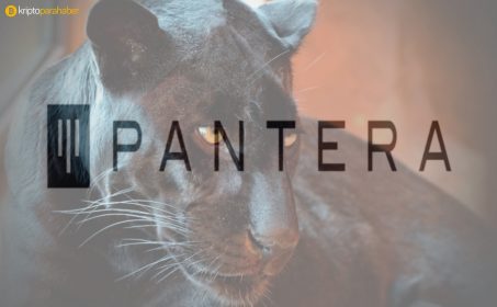 Pantera Capital, 71 milyon dolarlık yeni bir kripto fonu başlattı