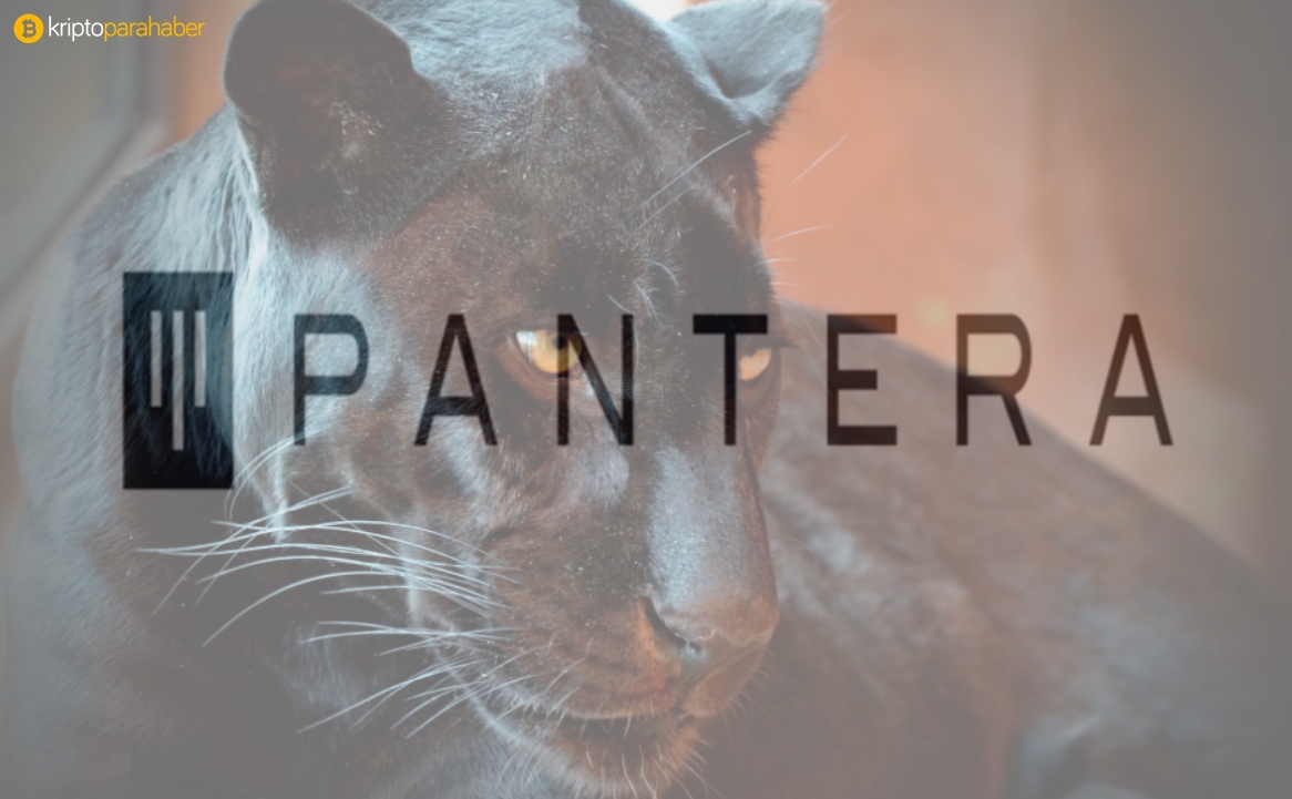 Pantera Capital CEO'su 4 popüler altcoin’e dikkat çekiyor