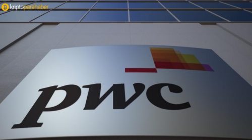 PwC’ye göre dijital varlıklar arasında, sadece dijital para birimleri şu anda gerçekten kullanılabilir