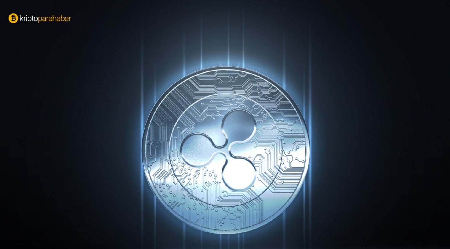 İşte Ripple zenginleri listesi: Bakın en zengin adresler ne kadar XRP tutuyor