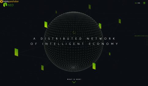 Da Hongfei: “NEO 3.0 için bir sert çatala ihtiyacımız var.”