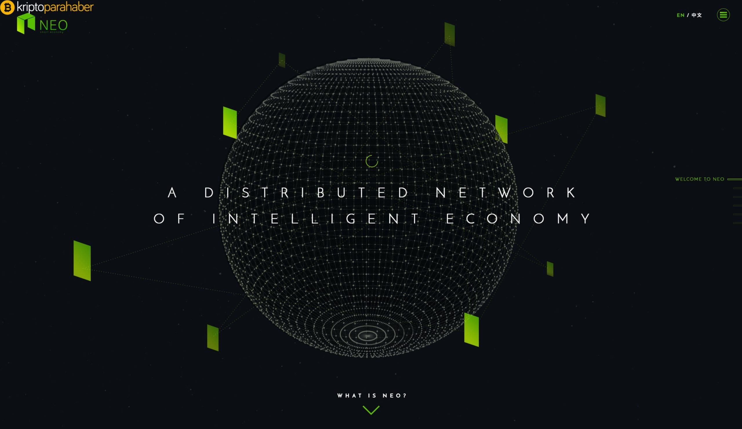 Da Hongfei: "NEO 3.0 için bir sert çatala ihtiyacımız var."