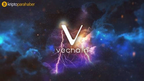 VeChain Vakfı (VF) Finansal İcra Raporu’nu yayınladı
