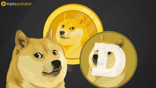 Dogecoin (DOGE) Flare topluluğunun yeni varlığı olarak onaylandı
