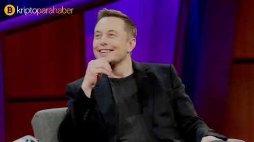 Elon Musk Dogecoin yaratıcısından Twitter dolandırıcılığına karşı yardım istedi