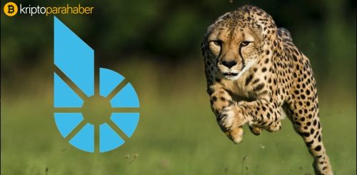 BitShares Blockchain platformu dünyanın en aktif Blockchain’i