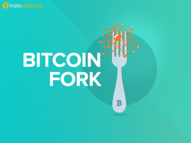 Hard fork kripto paraların istikrarı için bir tehdit!