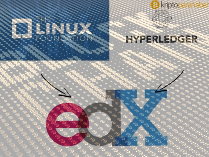 Linux Foundation yeni Hyperledger Blockchain eğitim kursu başlattı