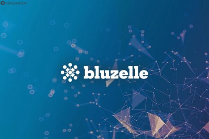 Blockchain tabanlı veri depolama şirketi Bluzelle, 1,5 milyon dolarlık bir finansmanı tamamladı