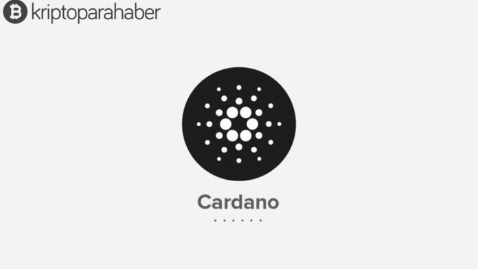 Cardano 1.4 sürümü ve yeni özellikleri