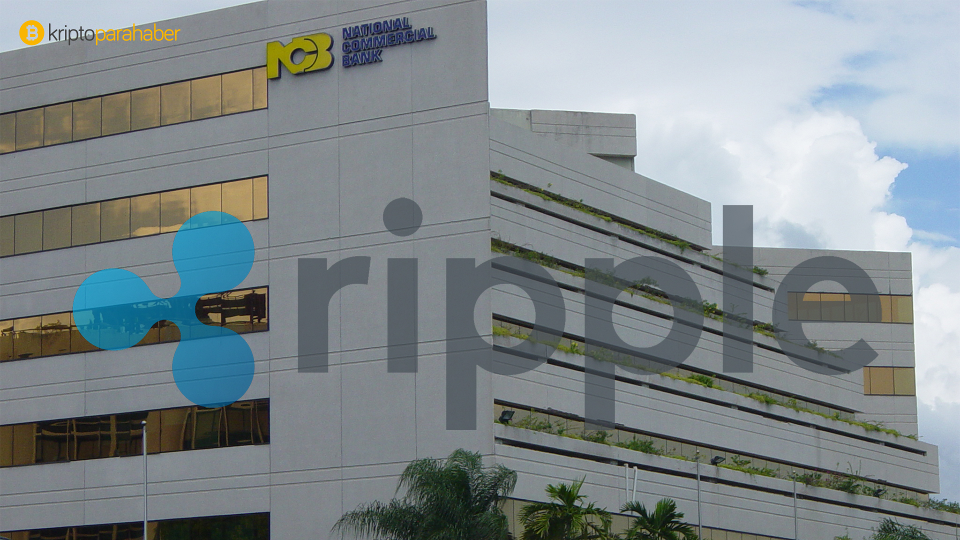 Ripple NCB ortaklığı