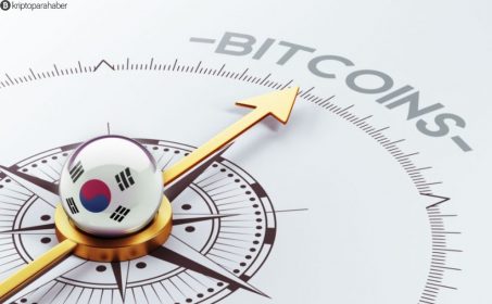 Güney Kore vatandaşlarını Dağıtılmış Defter Teknolojisi (DLT) ekosistemine hazırlıyor