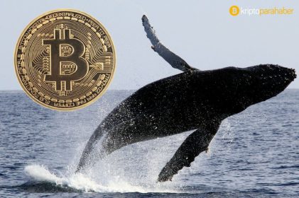 Araştırma: Balinalar Bitcoin pazarını dengeliyor