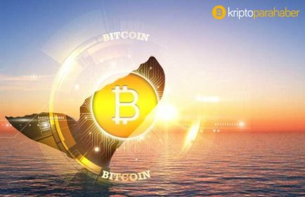 22.000 Bitcoin (BTC), Bitfinex Borsası soğuk cüzdanına taşındı!