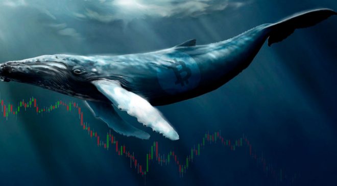 Bir Bitcoin balinası 194 milyon doları, 0,10 dolarlık bir ücretle transfer etti