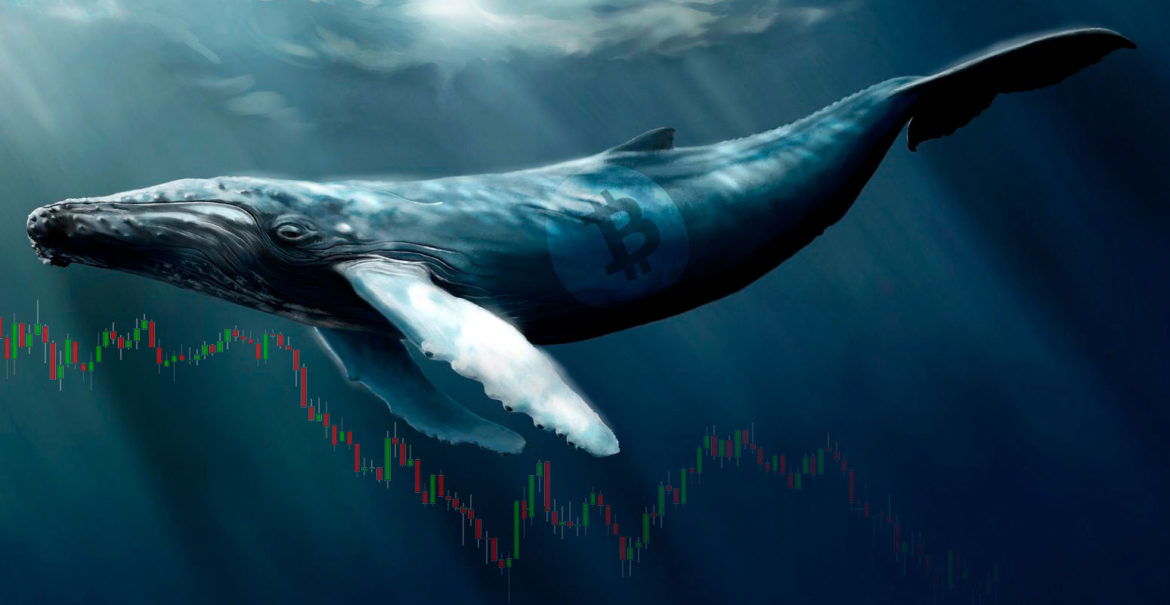 Bir Bitcoin balinası 194 milyon doları, 0,10 dolarlık bir ücretle transfer etti