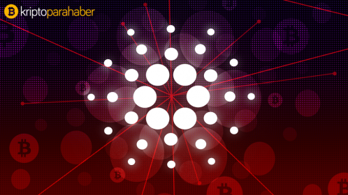 Popüler altcoin testnet web sitesini başlattı