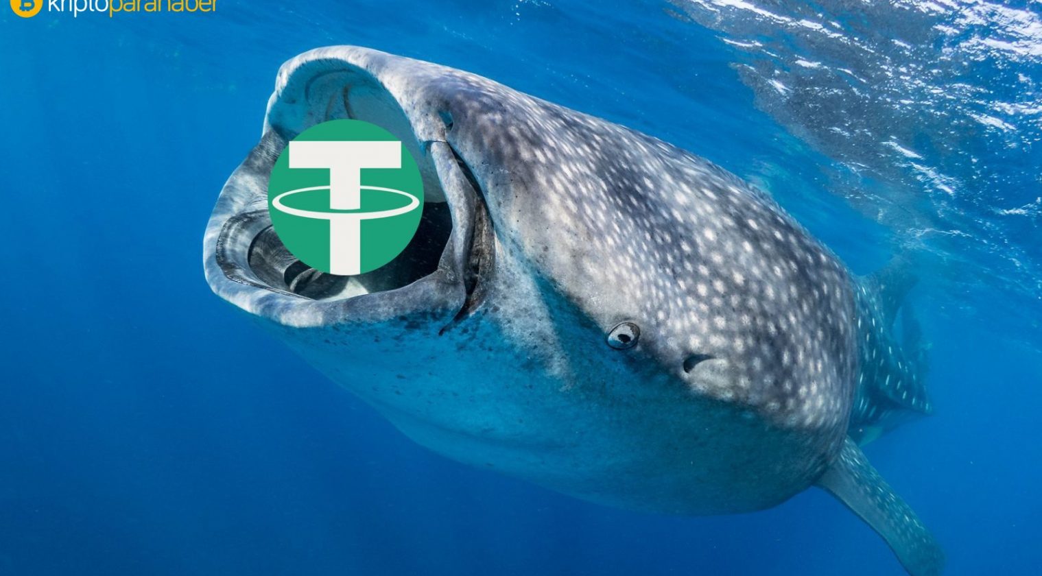 Bitcoin ve Tether balinaları