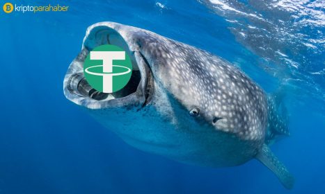 Şimdi de Tether balinası gündemde: 80 milyon dolarlık USDT piyasaya sürüldü