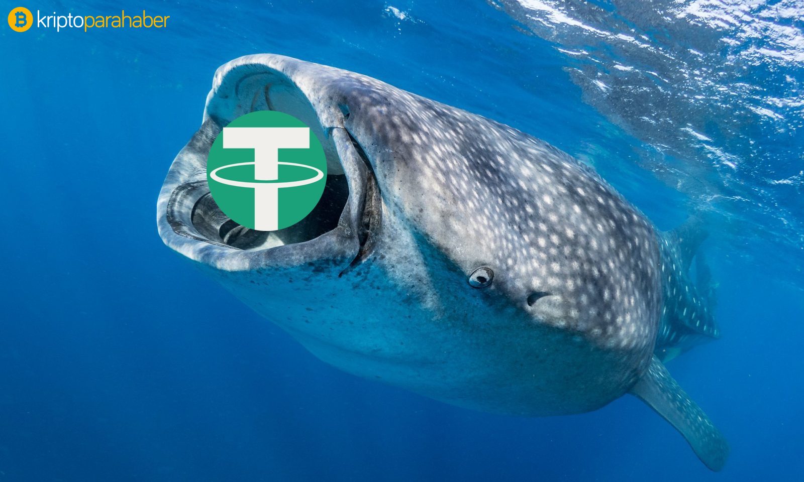 Bitcoin ve Tether balinaları