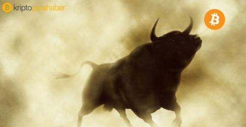 Mark Yusko: “Hisse senedi fiyatları düştükçe kripto paralar boğa piyasasına giriyor.”