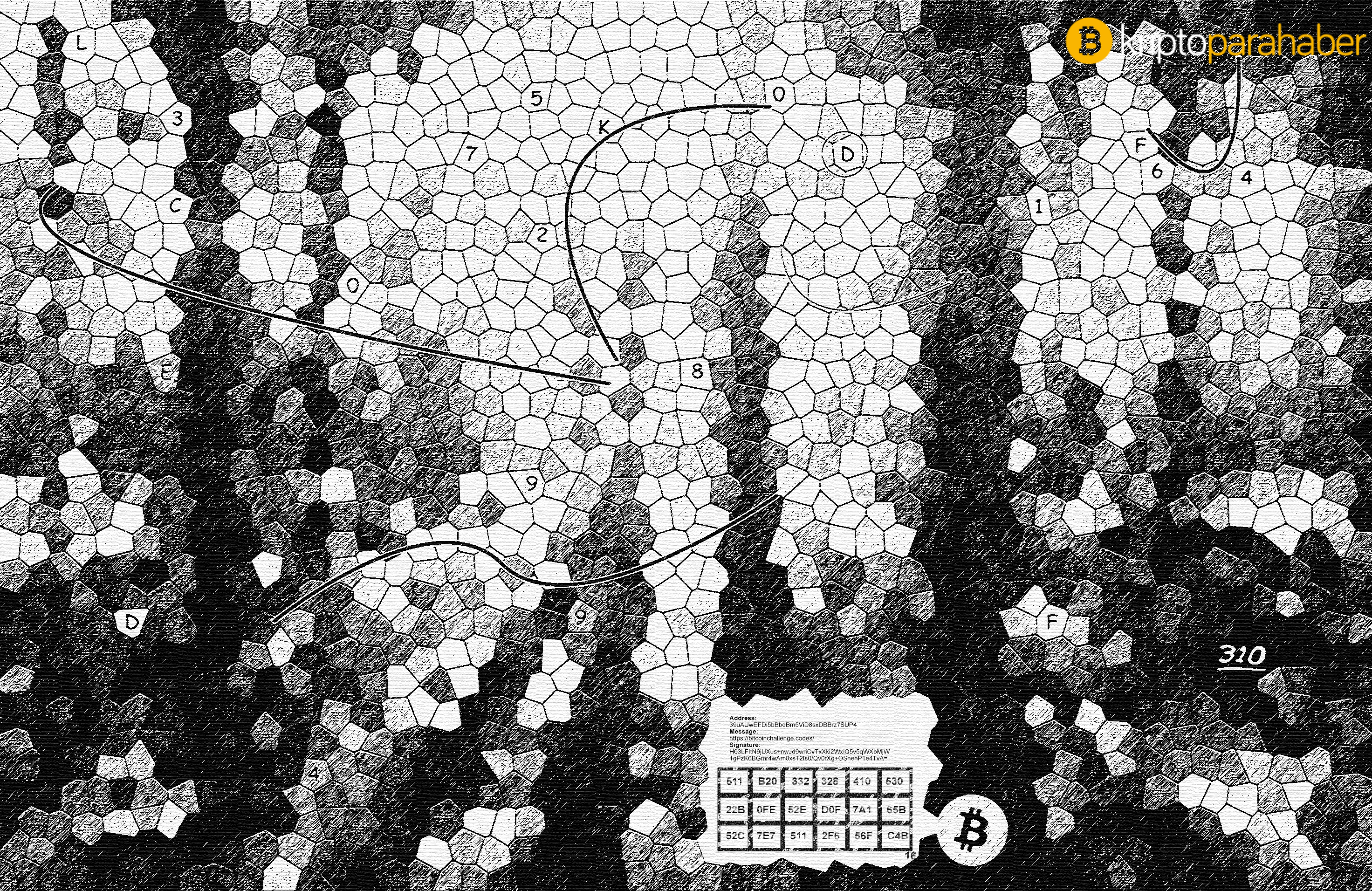 310 Bitcoin kazanmak kolay olabilir!