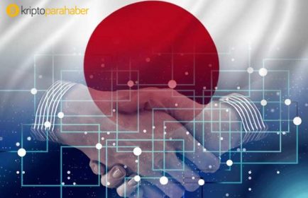 Japonya, kripto para ve Blockchain teknolojisi dostu bir bakan atıyor