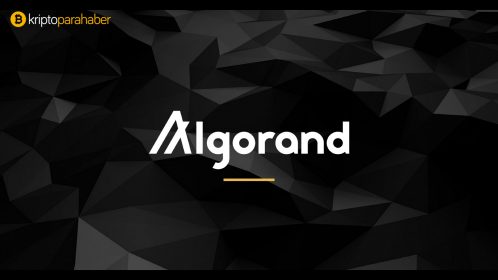 MIT profesörü Blockchain protokolü ile 62  milyon dolar fon topladı