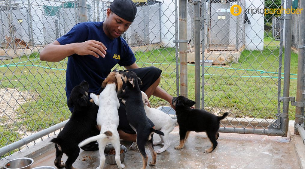 Hayvansever kripto yatırımcıları, Venezuela'daki hayvanlara yardım ediyor!