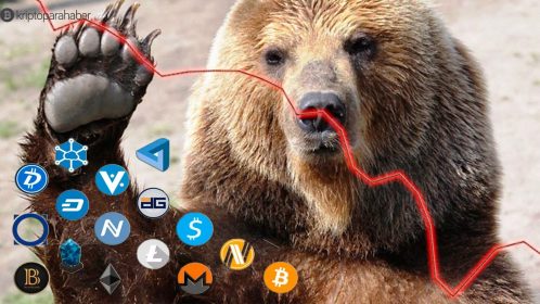 İşte içinde bulunduğumuz ayı piyasasının 5 aşaması