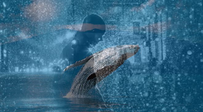 Dev balinalar canlandı: Milyonlarca dolarlık Bitcoin, Ethereum ve XRP hareket etti!