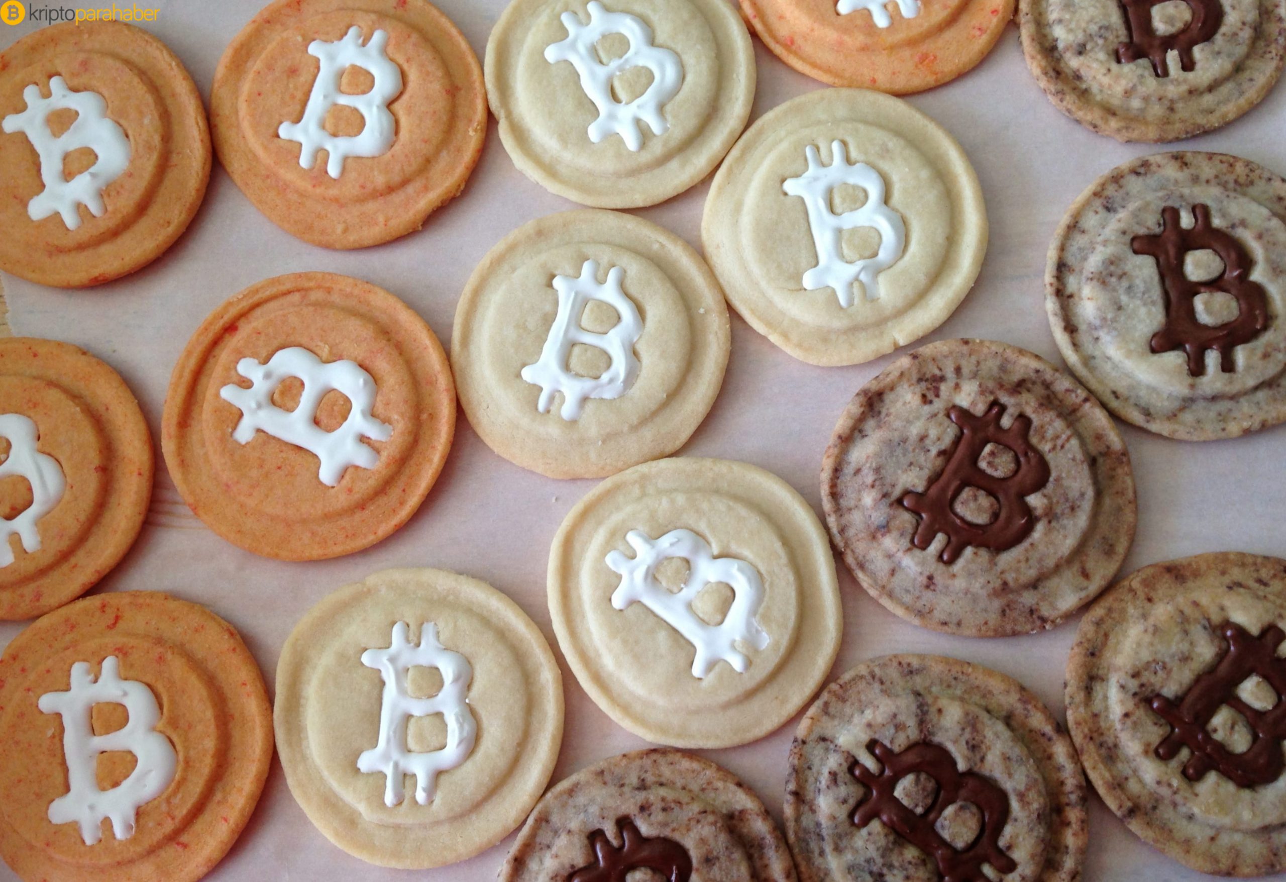 Bitcoin ve Dash ile ödeme kabul ediyor