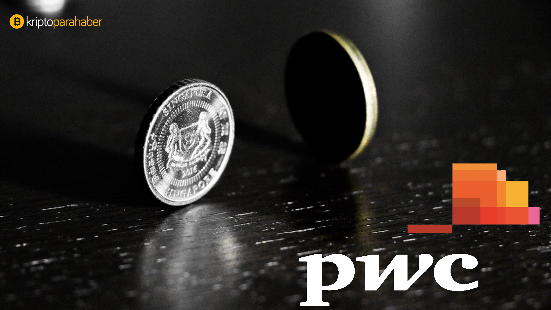 stabil coin pwc