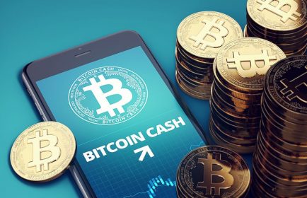 Bitcoin Cash hash savaşının olası sonuçları nelerdir? Piyasayı boğa sezonu mu yoksa ayı krizi mi bekliyor? Sıradaki nedir?