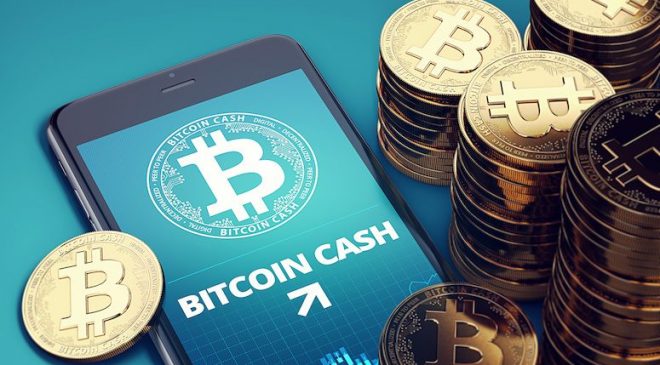 Bitcoin Cash'e genel bakış: BCH bir haftada yüzde 25 kazandı, neler oluyor?