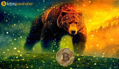 Kripto kışı bitti, hoş geldin Bitcoin baharı