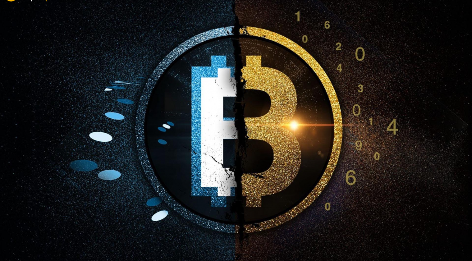 Money Button CEO'su: “Bitcoin'in protokolünü değiştirmeye gerek yok.”