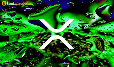 Çığır açan Ripple (XRP) platformu: XRParrot