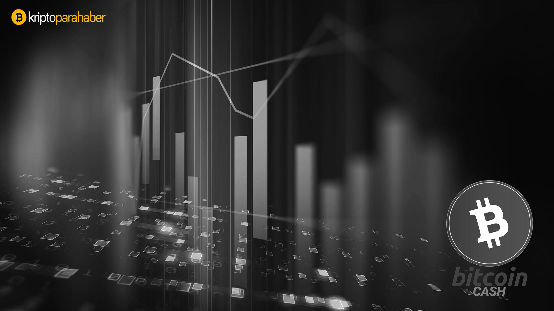 10 kasim bitcoin cash