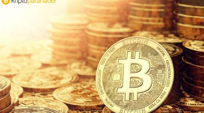 Elizabeth Schulze: ‘’Bitcoin’in hayatta kalması, birkaç şeye bağlı.”