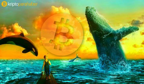 Rekoru yüksek bir yıl, bu Bitcoin fiyatı için yolun sonu mu? İşte tüm tarihsel Bitcoin çöküşleri